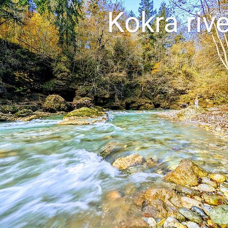 Domen'S Cozy Rentals Крань Екстер'єр фото