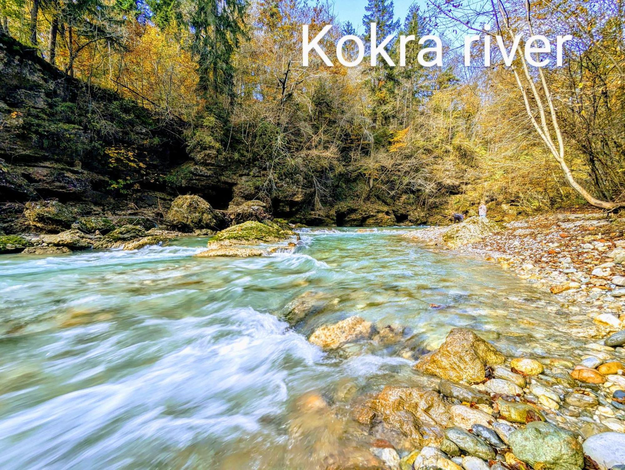 Domen'S Cozy Rentals Крань Екстер'єр фото
